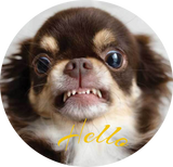 Custom Badge Zakeke